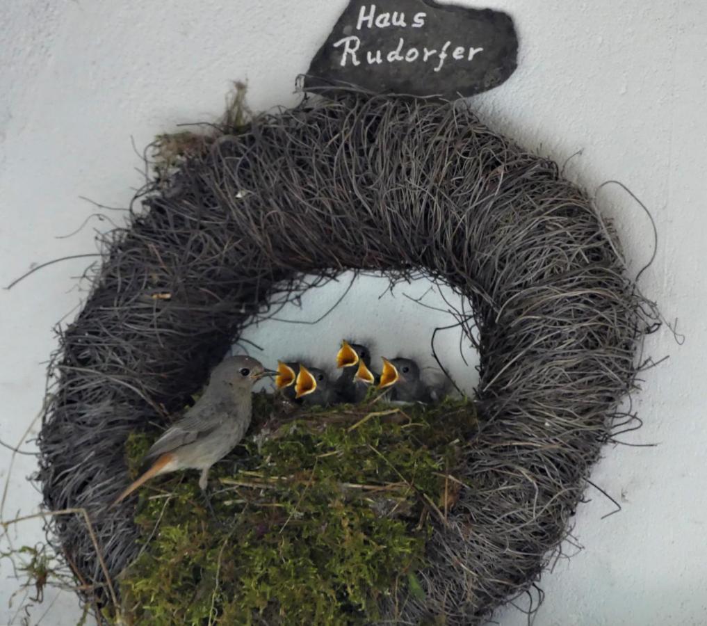 Hotel Ferienweingut Rudorfer Valwig Zewnętrze zdjęcie