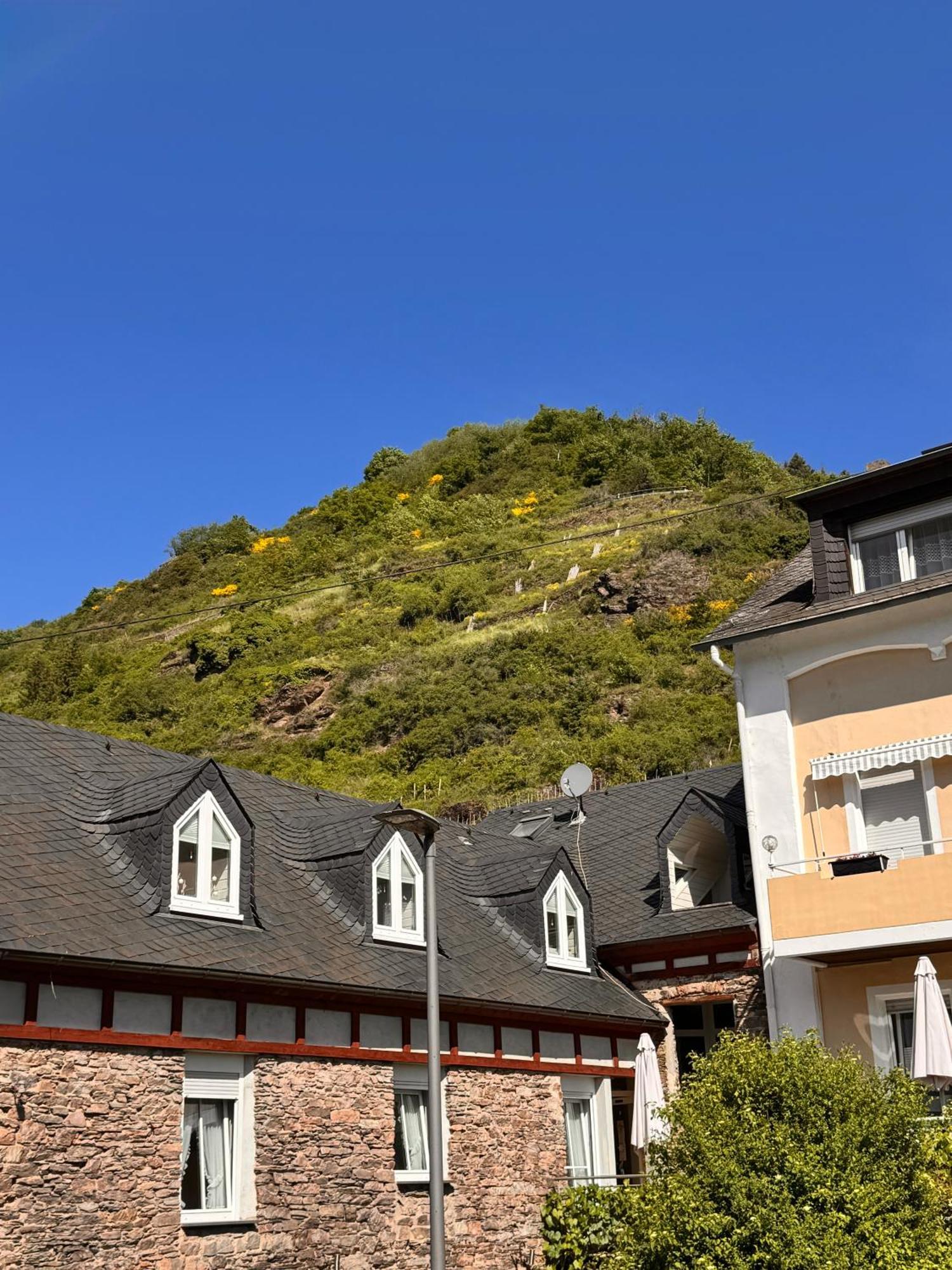 Hotel Ferienweingut Rudorfer Valwig Pokój zdjęcie