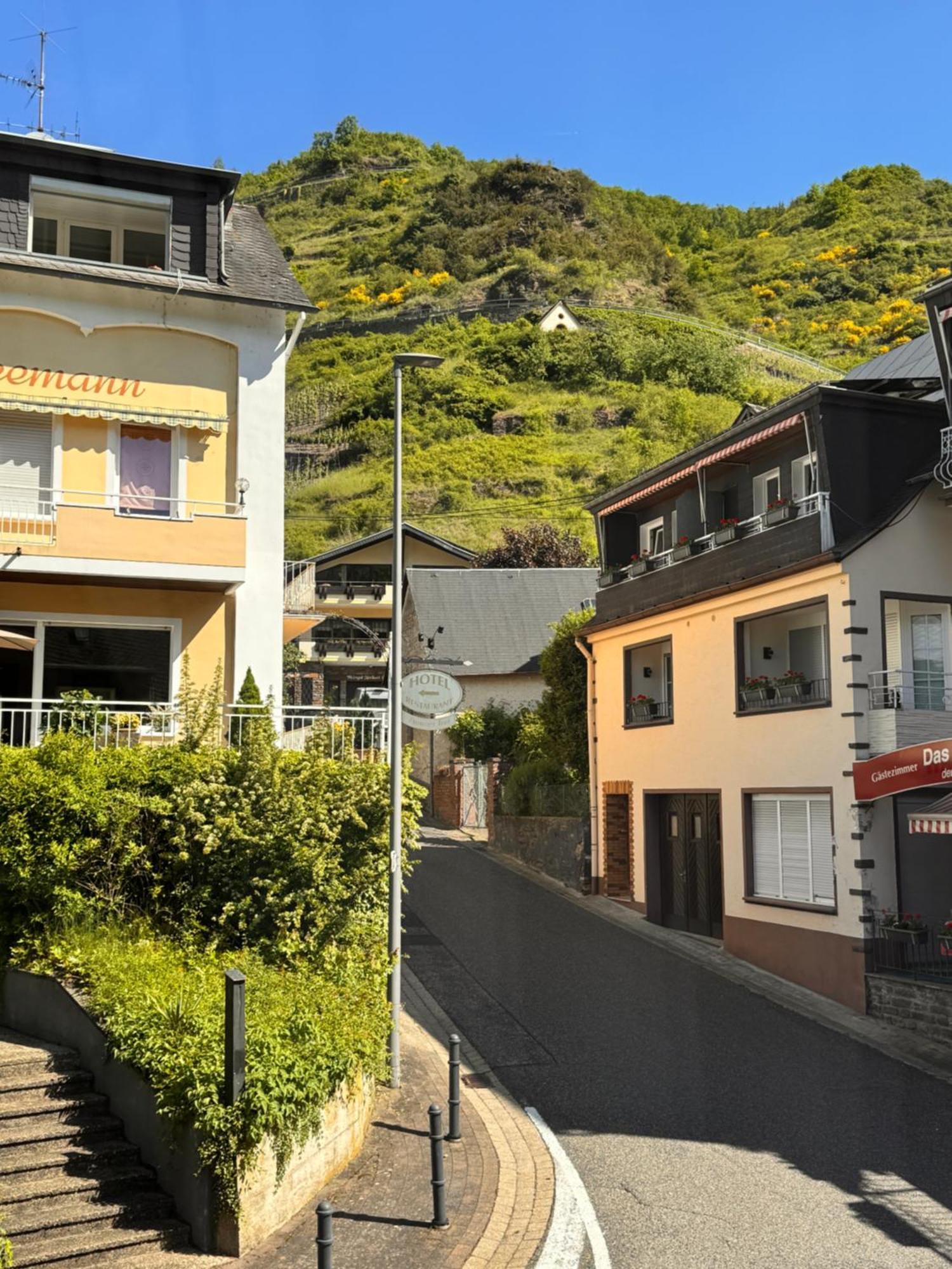 Hotel Ferienweingut Rudorfer Valwig Pokój zdjęcie