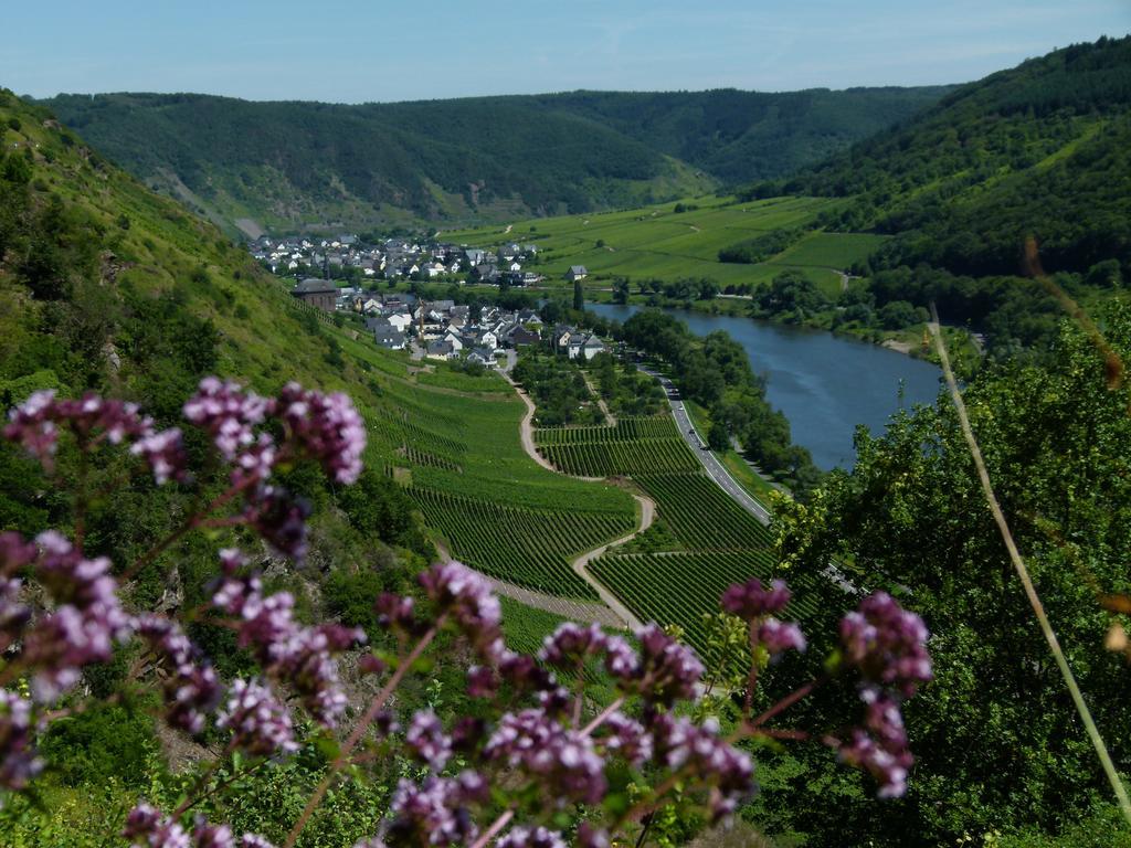Hotel Ferienweingut Rudorfer Valwig Zewnętrze zdjęcie